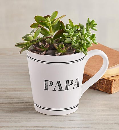 "Papa" Mug Succulent Garden